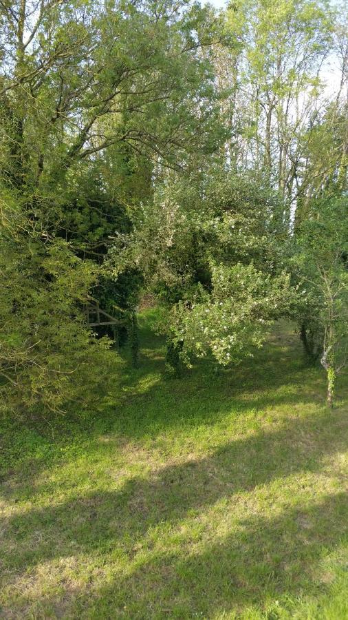Ferienwohnung Aux Nobles Acacias Épagne-Épagnette Exterior foto