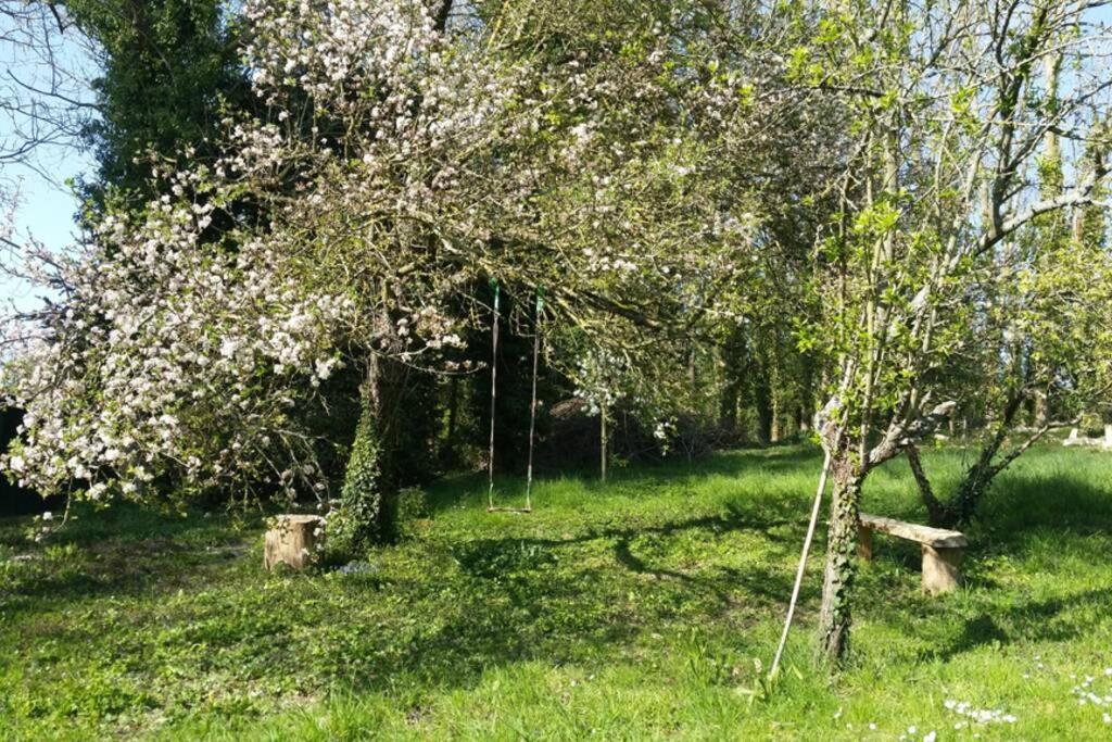 Ferienwohnung Aux Nobles Acacias Épagne-Épagnette Exterior foto